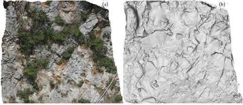 Figure 3. Tangshan quarry park ((a) 3D scene and (b) Triangulated irregular network).