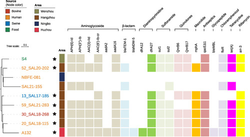 Figure 3 Phylogenetic association between A132 and its eight closely related Chinese S. London ST155 isolates using cgSNP strategy. Antimicrobial resistant genes were categorized into groups based on their resistance to different types of antibiotics, as shown in boxes with different colors. The absence of box indicates the absence of particular resistance gene in that strain. The source of each isolate is shown as colored terminal nodes. Different colored strips indicate the city where the strains were isolated. The black star indicates the presence of an IncFIB plasmid in that strain.
