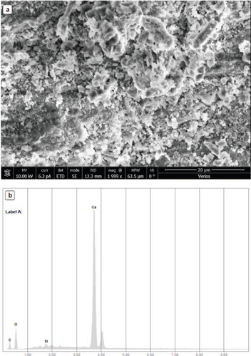 Fig. 6: Calcitic patina on the surface of the bulla’s impression examined under the SEM; a) patina formed by the accumulation of calcite crystals (scale: 0.2 mm long; b) chemical analysis of the material (a), using X-ray dispersion spectroscopy (EDS), indicating clean composition of calcite (CaCO3)