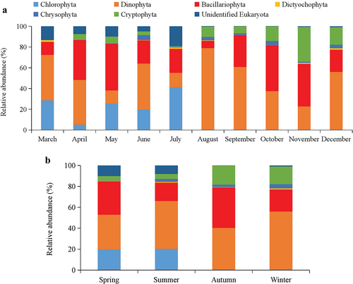 Figure 2. (a) Relative abundance of phytoplankton composition (Phylum) from March to December; (b) Relative abundance of phytoplankton composition (Phylum) in all four seasons in Yalu River Estuary, China.