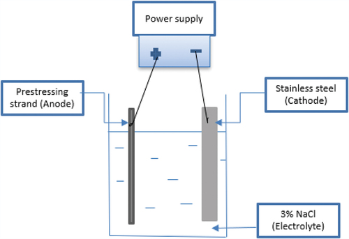 Figure 1. Electrochemical cell setup for accelerated corrosion.
