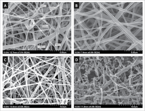 Figure 2. SEM imaging of (A) pristine and (B-D) PAAm-treated PLA nanofibers. PAAm grafting was carried out at pH 12.5 and 60°C for (B) 1 h, (C) 3 h, and (D) 20 h.