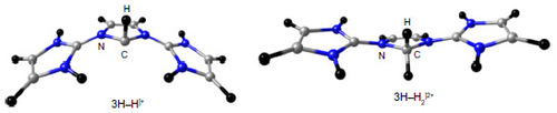 Figure 6 BP86/TZVP optimized first and second protonated derivatives of 3H.