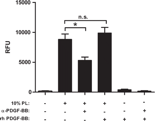 Figure 5. Inhibition of PDGF-BB by a monoclonal antibody significantly reduces proliferation of MSC in medium supplemented with 10% PL (P < 0.001). Addition of recombinant human PDGF-BB (20 ng/mL) did not enhance proliferation compared with 10% PL alone (P = 0.47). Shown are mean and SD values of quadruplicate wells of one representative experiment. Each experiment was repeated at least twice. RFU, relative fluorescence units; rh, recombinant human; α, anti; n.s., not significant.
