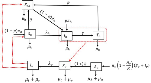 Figure 2. Transfer diagram for the onchocerciasis transmission dynamics.