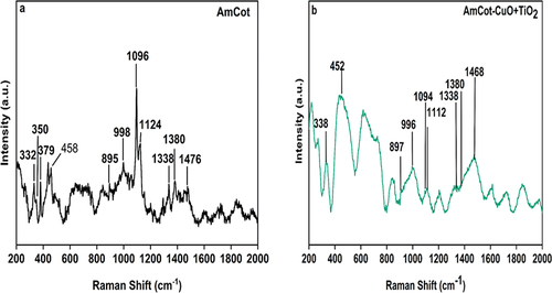 Figure 2. Raman spectra of amcot (a) and AmCot-CuO+TiO2 (b).
