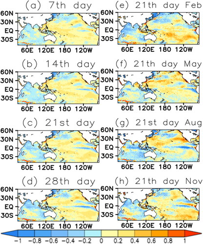 Fig. 1. SST (°C) bias at the forecast lead time (a) 7th day, (b) 14th day, (c) 21st day and (d) 28th day. (e) The SST bias at the 21st forecast day initialised from 1st February. (f), (g) and (h) are the same as (e) except for May, August and November, respectively.