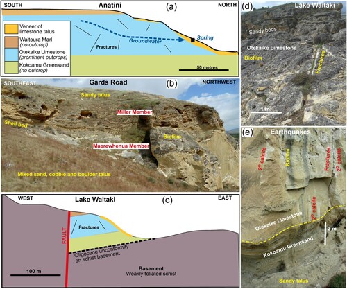 Figure 2. Structure and stratigraphy of the Otekaike Limestone in the Waitaki valley study region (localities in Figure 1B). A, Sketch cross section through the Anatini site. B, Cliffs at Gards Road site, showing topographic and outcrop distinctions between calcite-rich limestone (bottom) and sand and silt rich limestone (top). C, Sketch cross section through the limestone locality near Lake Waitaki. Legend as in 2a. D, Outcrop appearance with variable sand contents at Lake Waitaki site. E, Lower part of limestone cliff at the Earthquakes site, showing a rare exposure of underlying Kokoamu Greensand.