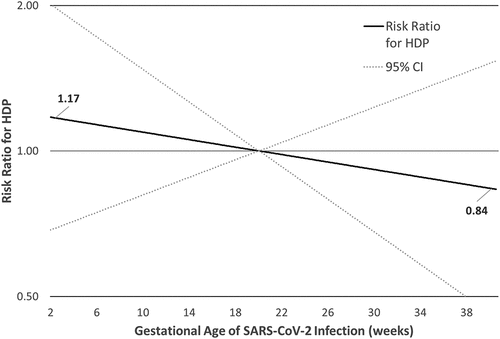 Figure 1. Risk ratios and 95% confidence intervals for gestational week of infection and hypertensive disorders of pregnancy, restricted cubic spline.