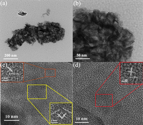 Figure 3. TEM image of manganese dioxide electrode prepared with precursor solution at 50°C.