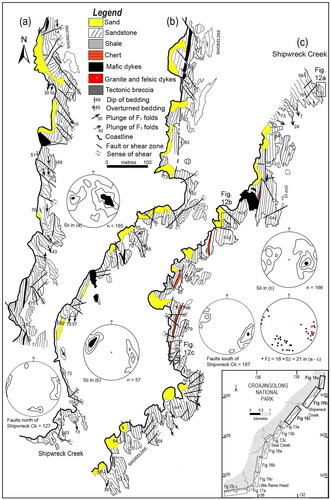 Figure 10. Trend surface maps in the coastal outcrops near Shipwreck Creek and representative structural data. Inset map shows location. (a) Shows trend in bedding in the folded sediments north (a, b) and south (c) of Shipwreck Creek. The narrow chert units in (c) are all associated with bedding-parallel faults. Contour intervals in (a, c) are 0.5, 3, 5, 7 and >10% per 1% area. Contour intervals in (b) are 1.5, 7 and >10% per 1% area. The location of Figure 12a–c is also shown in (c).