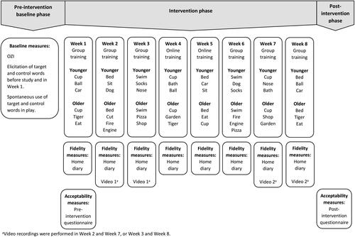 Figure 1. Phases of Intervention.