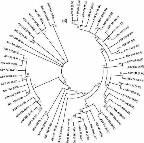 Figure 6. The phylogenetic relatedness of alginate lyases-producing prokaryotic communities associated with Sargassum waste. ASV, amplicon sequence variant. The cladogram was drawn using maximum-likelihood algorithm. The bootstrap percentage values of 1000 replications are specified at the nodes. The scale denotes 0.05 substitutions per nucleotide position. Numbers inside the parentheses denote the relative abundance (%) of the ASVs.