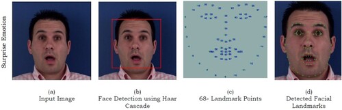 Figure 4. Face Localization and Landmark Detection.
