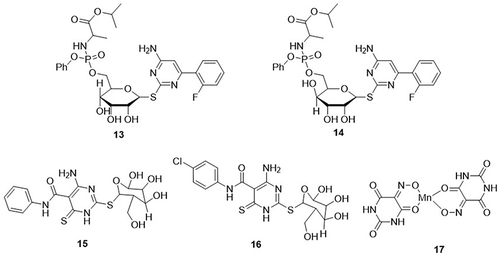 Figure 6 Pyrimidine derivatives (13–17) as anti-SARS-CoV-2 agents.