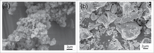 Figure 2. SEM micrographs: (A) Wollastonite and (B) MTA powder.