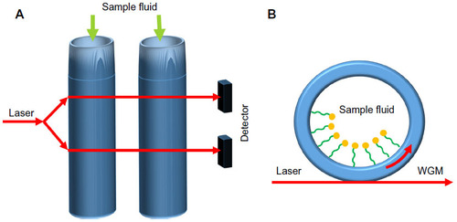 Figure 6 (A) Conceptual diagram of liquid core ring resonators (LCORR). (B) Cross-section of LCORR biosensor.