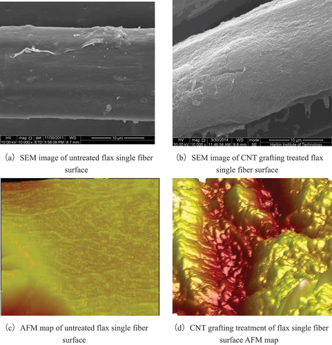 Figure 14. SEM and AFM surface morphology of flax fiber after CNT grafting treatment.