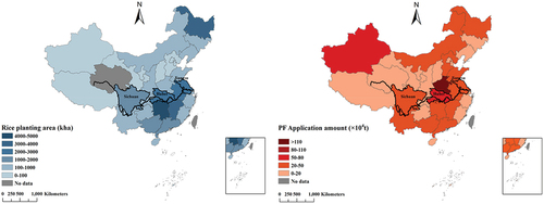 Figure 1. Rice planting area and phosphorus fertiliser application quantity across China from 2010 to 2020.