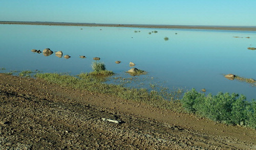 Fig. 2. A flooded mud flat between Al-Ṣafāwī and Wādī Salmā, April 2015.