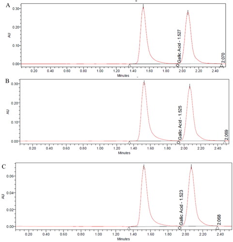 Figure 6. Chromatograms of A) gallic acid B) gallic acid stressed with HCl C) gallic acid stressed with NaOH.