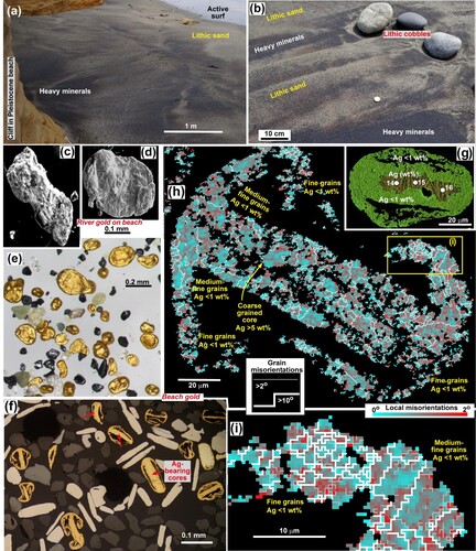 Figure 12. Beach gold on the south coast of the Southland goldfield, in the Round Hill mining area (Figure 1D). A,B, Gold-bearing heavy mineral concentrates (dark) on an active beach. C,D, SEM backscatter images of detrital gold on an active beach at the mouth of a gold-bearing river. E, Recycled toroidal beach gold in a Pleistocene marginal marine fluvial channel. F, Polished section view of toroids (yellow) with relict Ag-rich cores arrowed. White flakes are platinum. G, Backscatter electron image (modified from Palmer and Craw Citation2023) of a spheroidal toroid with relict Ag-bearing core (dark green, with EDX analytical spots). The image is overlain with Au and Ag element maps to highlight Ag-poor (lighter green) rim and attenuated rim protrusions. H, EBSD crystallographic misorientation map of a toroid, showing variations in grain size (white grain boundaries) and amounts of internal crystallographic misorientations. I, Enlarged view of toroidal rim protrusion in h, showing fine grain size and misorientations.