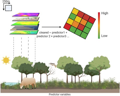 Figure 2. Schematic representation of the modelling procedure. Predictor variables listed in Table 1 were rasterised to a 250*250 m resolution and then stacked into a single dataset per bioregion. We used a generalised estimating equation to predict deforestation probability.