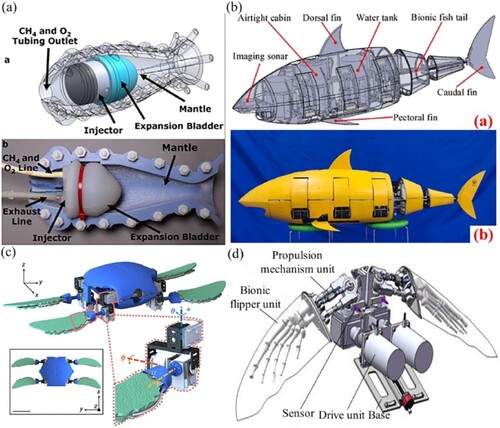 Figure 1. Bionic underwater robot: (a) underwater squid-imitating robot (Keithly et al., Citation2018); (b) underwater shark-like robot (Yan et al., Citation2022); (c) underwater turtle-like amphibious robot (Baines et al., Citation2022); and (d) underwater imitation sea lion robot (Liu et al., Citation2022b).
