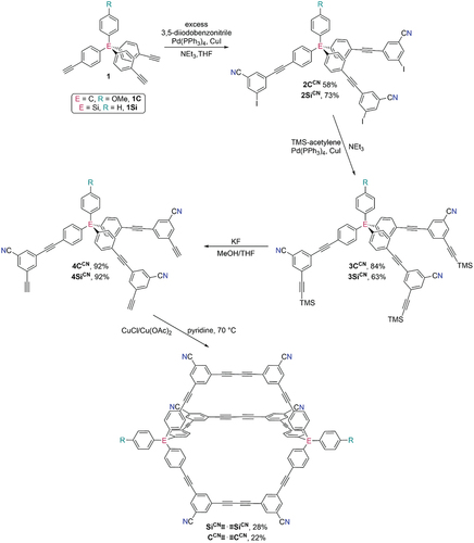 Scheme 2. Synthesis of tris-iodide half-cages 2, tris-alkyne half-cages 4, and hexanitrile-functionalised cages CCN≡·≡CCN and SiCN≡·≡SiCN.