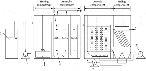 Figure 1. Schematic diagram of the IAAB process [Citation21]: 1, feed tank; 2, peristaltic pump; 3, heater; 4, supernatant sampling port; 5, sludge sampling port; 6, gas collection; 7, reflux pump; 8, aeration pump; 9, effluent.