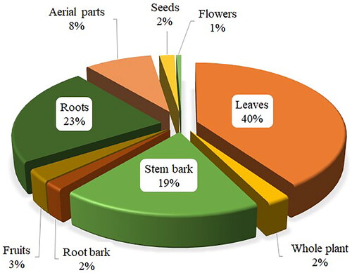 Figure 3. Percentage share of medicinal plant parts used for antimalarial remedies in Tanzania.