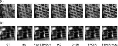 Figure 9. Details of the doubled super-resolution (a) (b) of 12th band in the original image of OHS data.