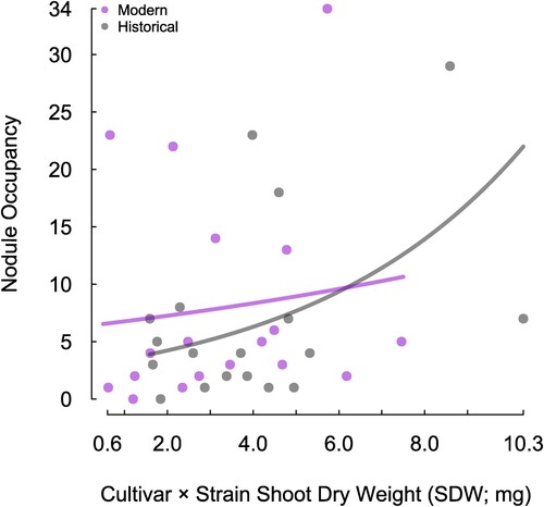 Figure 1. The relationship between nodule occupancy and cultivar × strain SDW (Experiment 1) for historic (n = 3) and modern (n = 3) cultivars of white clover. Data points for historical cultivars are black and modern cultivars are purple. Trend lines are coloured accordingly and are fitted from the generalized linear mixed effect model.