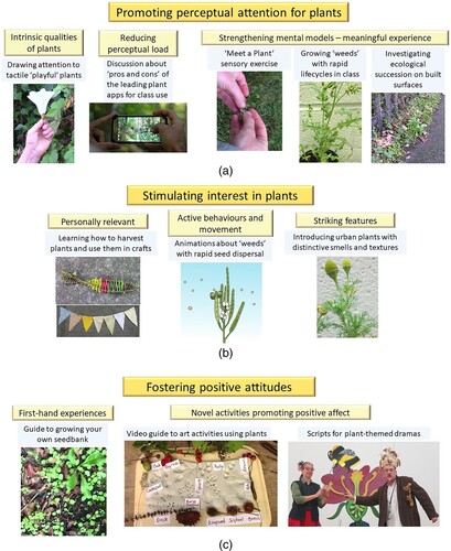Figure 7. (a) Elements in teacher CPD programme promoting attention to plants. (b) Elements in programme promoting interest in plants. (c) Elements in programme fostering positive attitudes towards plants.