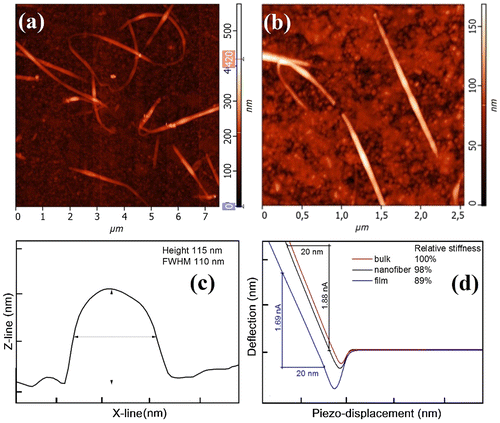 Figure 4. (a) and (b) AFM topography of chalcogenide As3S7 glass nanofibers deposited for 2 min. (c) The profile recorded from the nanofiber shown in part (b). (d) The dependence of the tip deflection on the piezo-displacement; the region of the repulsive interactions is used to compare the relative stiffness of the As3S7 bulk glass, the well-annealed spin-coated film and the electrospun chalcogenide nanofiber (Color online).