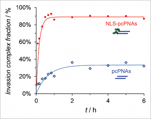 Figure  5. Time-courses of invasion-complex formation. Conditions; [double-stranded DNA (119 bp)] = 50 nM, [each of NLS-pcPNAs or pcPNAs] = 150 nM, [Hepes (pH 7.0)] = 5 mM and [NaCl] = 100 mM at 50°C. Reproduced by permission from ref. 37.