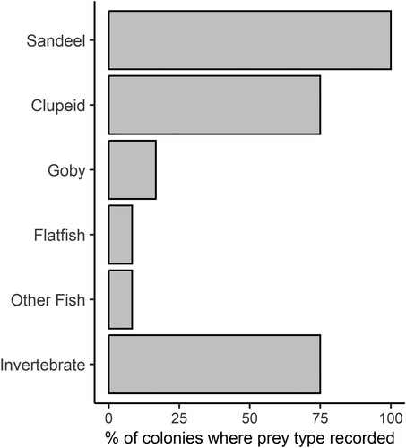 Figure 3. Frequency at which prey types were recorded at the LIFE Project colonies (n = 12). Data are for timed observations only and do not include the Langstone Harbour camera trap records.