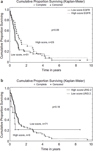 Figure 2a. Kaplan-Meier curves demonstrating the survival differences for patients with different tumour EGFR staining fraction and intensity, graded low or high. b. Kaplan-Meier curve demonstrating the survival differences for patients with different tumour LRIG2 staining fraction and intensity, graded low or high.