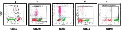 Figure 1. Pro-B ALL CD10+ (common B ALL). The blasts were selected and gated as they appear on the CD45 and SSC (green) (a). (b) cyCd79a versus SSC. (c) CD19 versus SSC. (d) CD34 versus SSC. (e) CD10 versus SSC.
