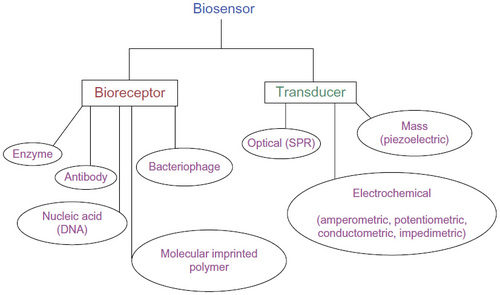 Figure 5 Biosensor classifications and methods.
