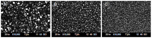 Figure 1 Scanning electron microscopic images of the surfaces in the three different groups in the study.