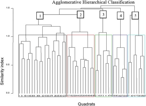 Figure 4. Dendrogram generated from hierarchical cluster analysis of species in Endiras Forest, northwest Ethiopia.