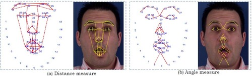 Figure 5. Manually annotated 66 dimensions Geometrical Face Points.