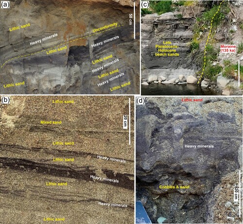 Figure 5. Late Pleistocene-Holocene beach sediments were excavated ∼1 km inland from the modern shoreline for extraction of gold samples. A, Excavation wall in beach sands near Figure 6 sample site, showing truncated heavy mineral layers. B, Close view of an excavation wall in beach sands (as in a) showing heavy mineral layers. C, An excavation site in beach sands at foot of moraine deposit (Figure 3A,C). D, Close view of basal heavy mineral layers in c, from which gold in Figure 7 was extracted.