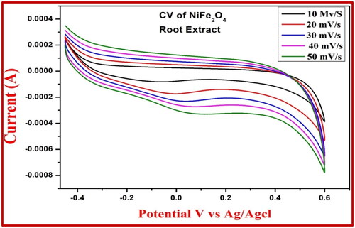 Figure 6. CV of NiFe2O4-root extract electrode.