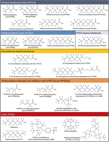 Figure 1. Chemical structures of PFAS discussed in this review. Structures were made using ChemDraw professional (v16.0.1.4) and standard international union of pure and applied chemistry (IUPAC) nomenclature. Structures are organized according to a previously described scheme (Wang et al. Citation2017).