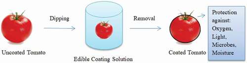 Figure 1. Conventional strategy of edible coating of fruits [Citation7]