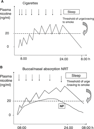 Figure 1 Schematic presentation of plasma nicotine concentrations in venous blood of a smoker over a 24-hour period (A) and in an abstinent smoker using nicotine patch (NP) and buccal/nasal absorption nicotine replacement products (B). Combination of NP with rapid, buccal/nasal absorption NRT leads to higher area under the plasma nicotine concentration curve and peak nicotine concentrations. These result in more time spent above the craving/urge to smoke plasma nicotine concentration threshold and a better mimicking of self-titrated nicotine peaks.
