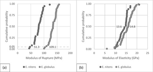 Figure 2. Cumulative density functions of: (a) E. globulus and E. nitens MoR with characteristic 5th-percentile, (b) E. globulus and E. nitens MoE with characteristic 50th-percentile.