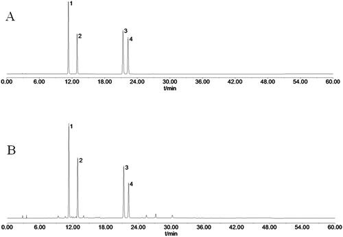 Figure 1. HPLC chromatograms of mixed reference solution and TCPT sample solution. (A) HPLC chromatogram of mixed reference solution. (B) HPLC chromatogram of TCPT sample solution. Notes: peak 1, skimmin; peak 2, 8-methoxycoumarin-7-O-β-d-glucose; peak 3, 7-hydroxycoumarin; peak 4, 7-hydroxy-8-methoxycoumarin.